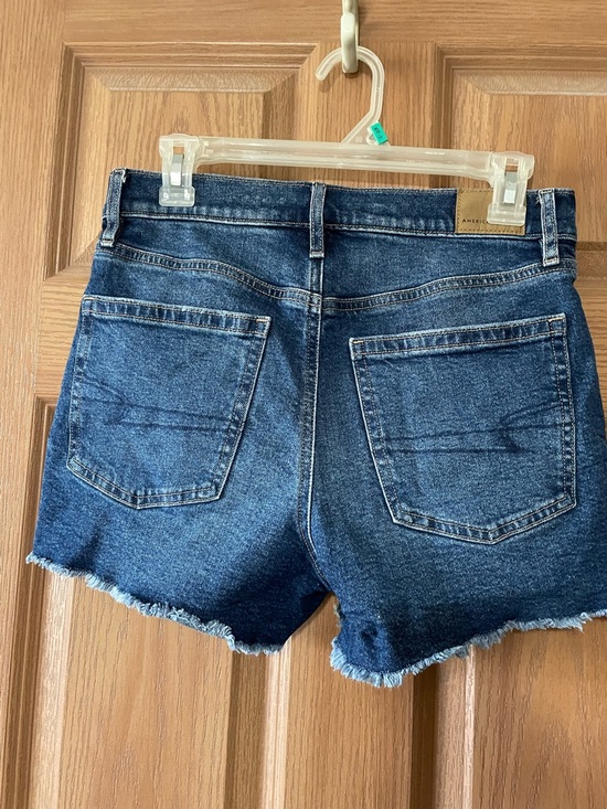 American Eagle STRIGID Shorts Size 2 - Picture 2 of 4
